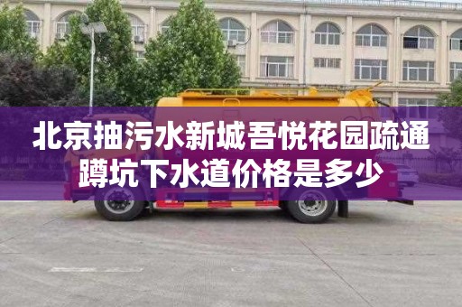北京抽污水新城吾悦花园疏通蹲坑下水道价格是多少