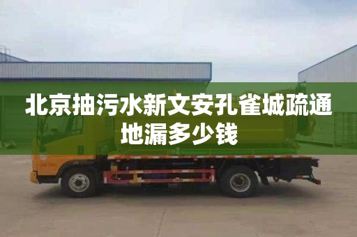 北京抽污水新文安孔雀城疏通地漏多少钱