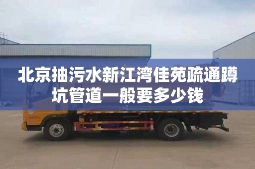 北京抽污水新江湾佳苑疏通蹲坑管道一般要多少钱