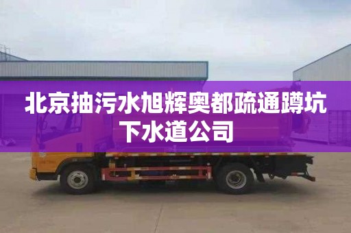 北京抽污水旭辉奥都疏通蹲坑下水道公司