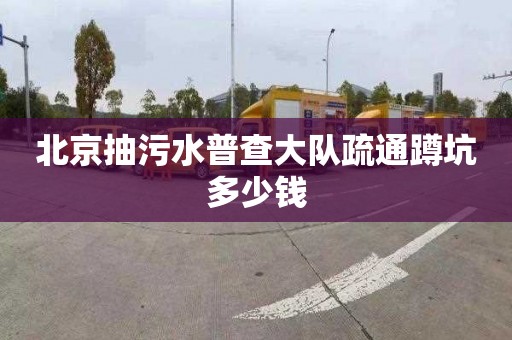 北京抽污水普查大队疏通蹲坑多少钱