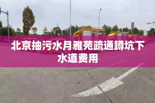 北京抽污水月雅苑疏通蹲坑下水道费用