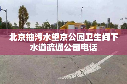 北京抽污水望京公园卫生间下水道疏通公司电话