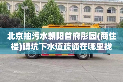 北京抽污水朝阳首府彤园(商住楼)蹲坑下水道疏通在哪里找