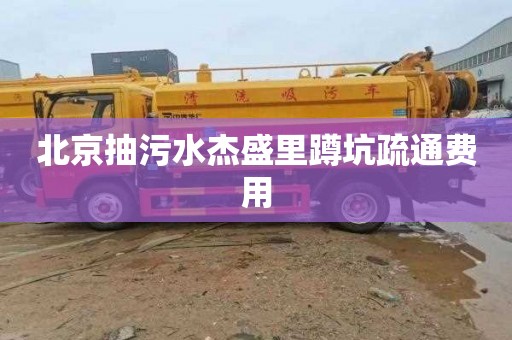 北京抽污水杰盛里蹲坑疏通费用