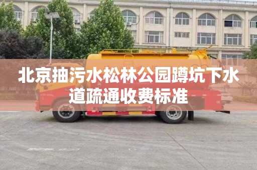 北京抽污水松林公园蹲坑下水道疏通收费标准