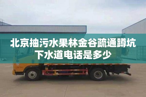 北京抽污水果林金谷疏通蹲坑下水道电话是多少