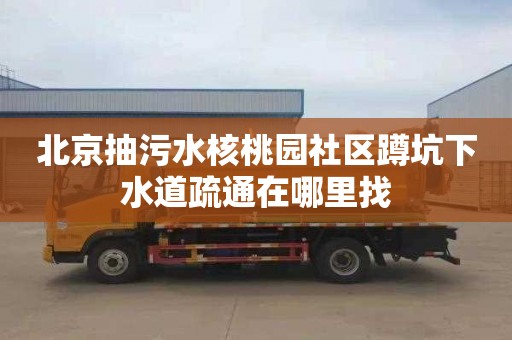 北京抽污水核桃园社区蹲坑下水道疏通在哪里找