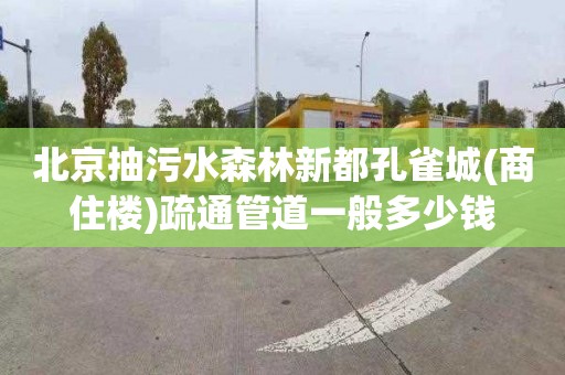北京抽污水森林新都孔雀城(商住楼)疏通管道一般多少钱