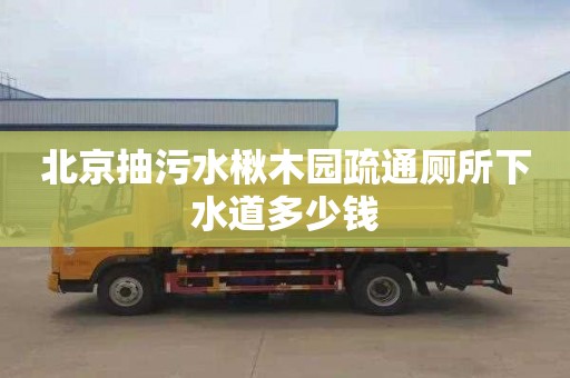 北京抽污水楸木园疏通厕所下水道多少钱