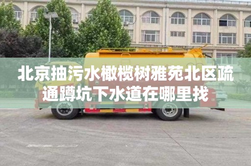 北京抽污水橄榄树雅苑北区疏通蹲坑下水道在哪里找