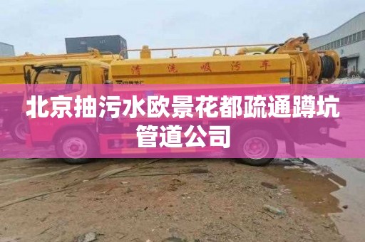 北京抽污水欧景花都疏通蹲坑管道公司