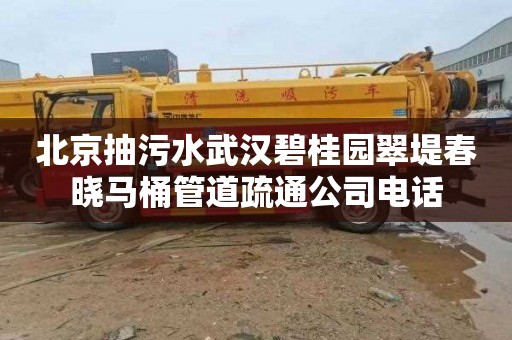 北京抽污水武汉碧桂园翠堤春晓马桶管道疏通公司电话