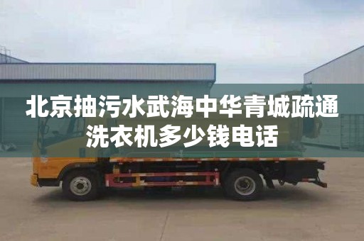 北京抽污水武海中华青城疏通洗衣机多少钱电话