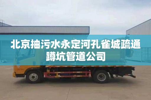 北京抽污水永定河孔雀城疏通蹲坑管道公司