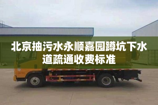 北京抽污水永顺嘉园蹲坑下水道疏通收费标准