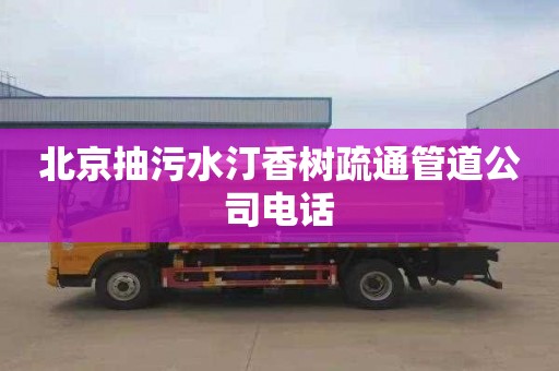 北京抽污水汀香树疏通管道公司电话