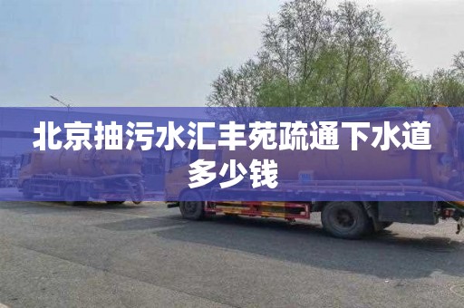 北京抽污水汇丰苑疏通下水道多少钱