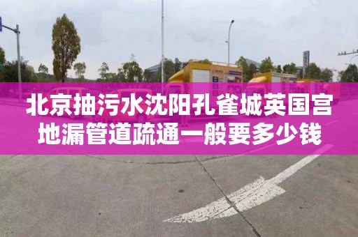 北京抽污水沈阳孔雀城英国宫地漏管道疏通一般要多少钱