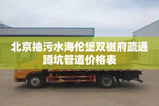 北京抽污水海伦堡双樾府疏通蹲坑管道价格表