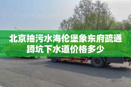 北京抽污水海伦堡象东府疏通蹲坑下水道价格多少
