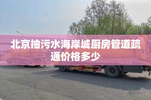北京抽污水海岸城厨房管道疏通价格多少