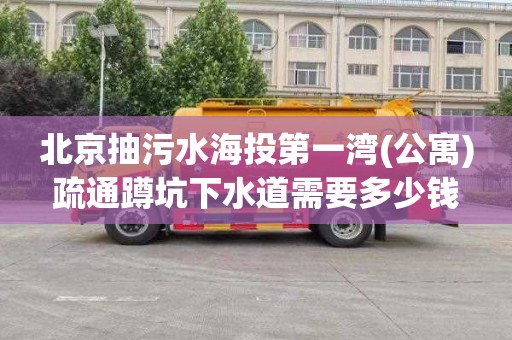 北京抽污水海投第一湾(公寓)疏通蹲坑下水道需要多少钱