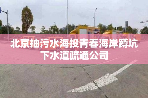 北京抽污水海投青春海岸蹲坑下水道疏通公司