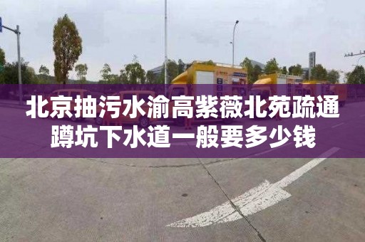 北京抽污水渝高紫薇北苑疏通蹲坑下水道一般要多少钱
