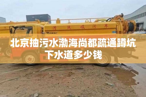北京抽污水渤海尚都疏通蹲坑下水道多少钱