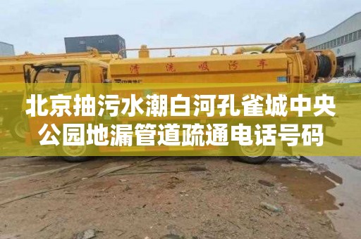 北京抽污水潮白河孔雀城中央公园地漏管道疏通电话号码