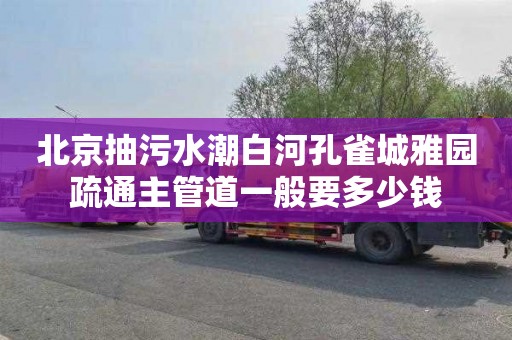北京抽污水潮白河孔雀城雅园疏通主管道一般要多少钱