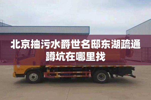 北京抽污水爵世名邸东湖疏通蹲坑在哪里找