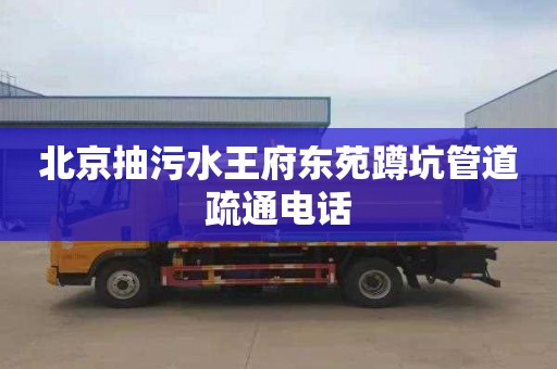 北京抽污水王府东苑蹲坑管道疏通电话