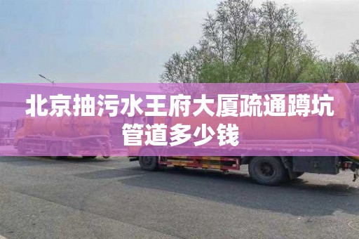 北京抽污水王府大厦疏通蹲坑管道多少钱