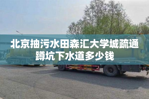 北京抽污水田森汇大学城疏通蹲坑下水道多少钱