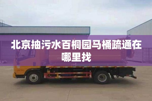 北京抽污水百桐园马桶疏通在哪里找