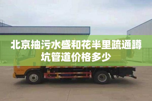 北京抽污水盛和花半里疏通蹲坑管道价格多少