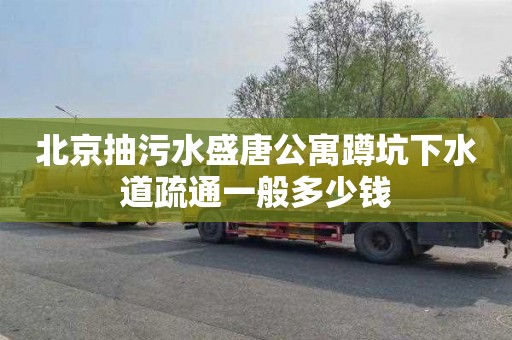 北京抽污水盛唐公寓蹲坑下水道疏通一般多少钱