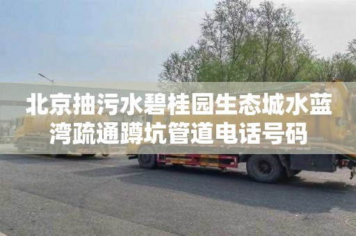 北京抽污水碧桂园生态城水蓝湾疏通蹲坑管道电话号码