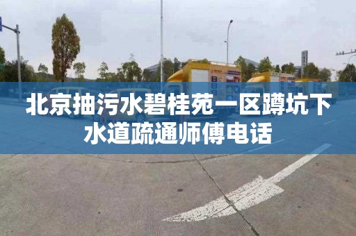 北京抽污水碧桂苑一区蹲坑下水道疏通师傅电话