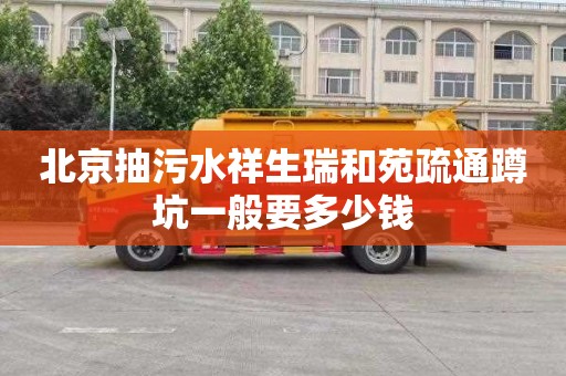 北京抽污水祥生瑞和苑疏通蹲坑一般要多少钱