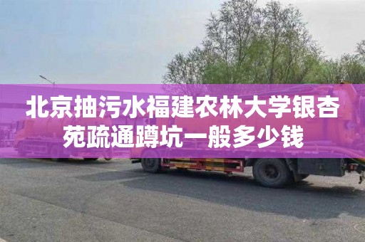 北京抽污水福建农林大学银杏苑疏通蹲坑一般多少钱