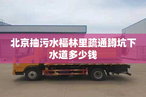 北京抽污水福林里疏通蹲坑下水道多少钱
