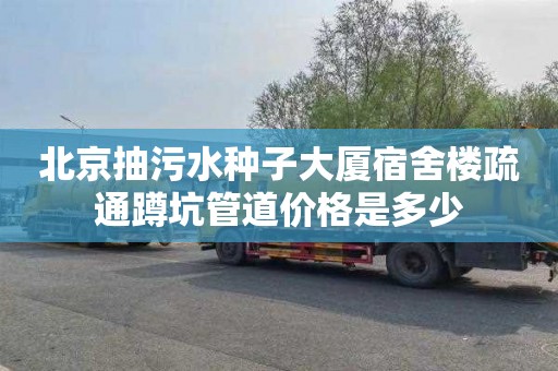 北京抽污水种子大厦宿舍楼疏通蹲坑管道价格是多少