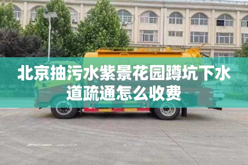北京抽污水紫景花园蹲坑下水道疏通怎么收费