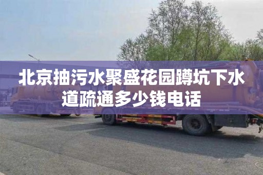 北京抽污水聚盛花园蹲坑下水道疏通多少钱电话