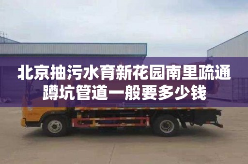 北京抽污水育新花园南里疏通蹲坑管道一般要多少钱