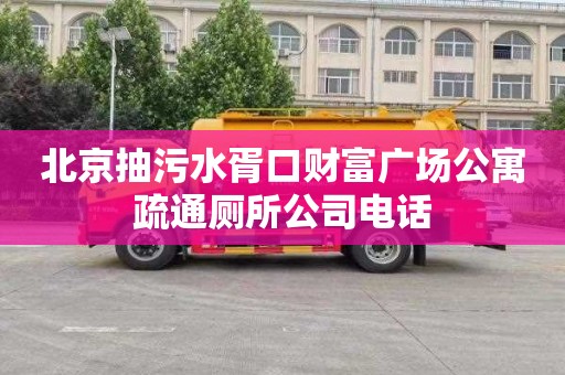 北京抽污水胥口财富广场公寓疏通厕所公司电话