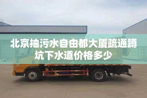 北京抽污水自由都大厦疏通蹲坑下水道价格多少